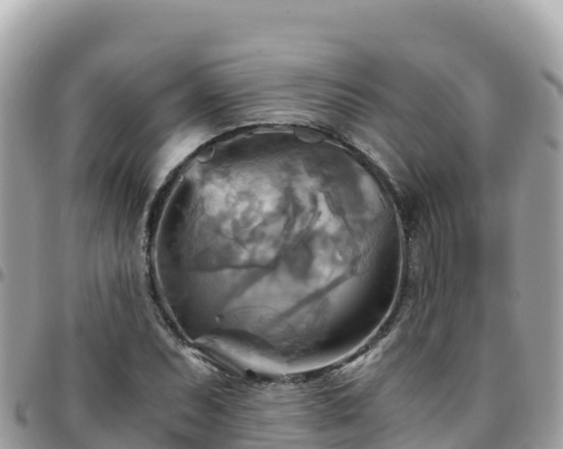 X0000096221071200801251051