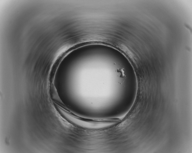 X0000096221072200801251051