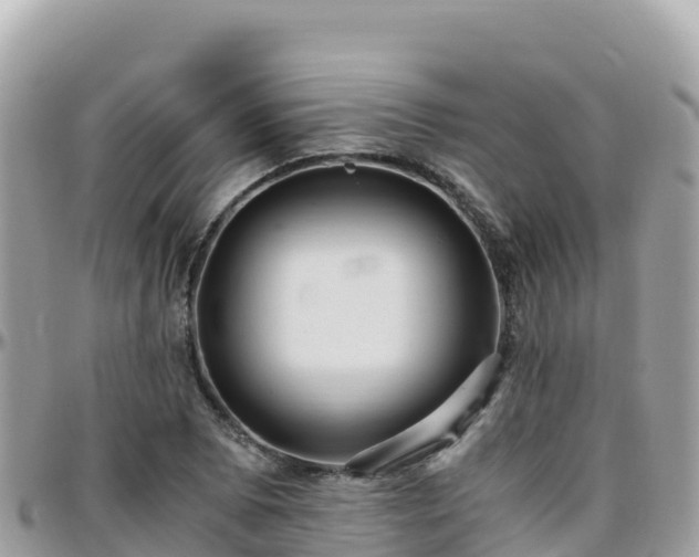 X0000096221073200801251051