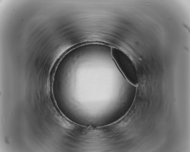 X0000096221076200801251051