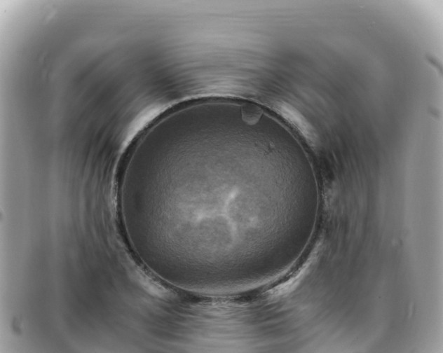 X0000096221077200801251051