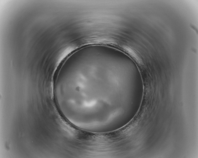 X0000096221079200801251051