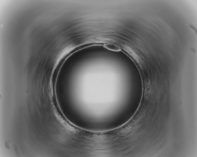 X0000096221080200801251051