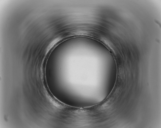 X0000096221082200801251051