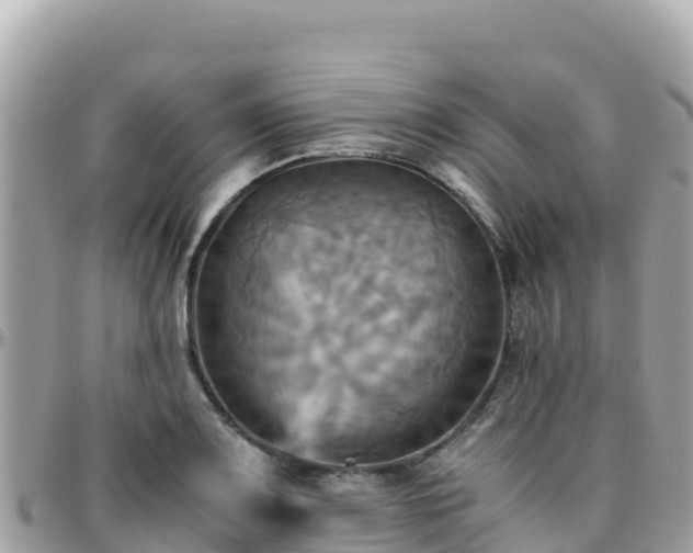 X0000096221083200801251051