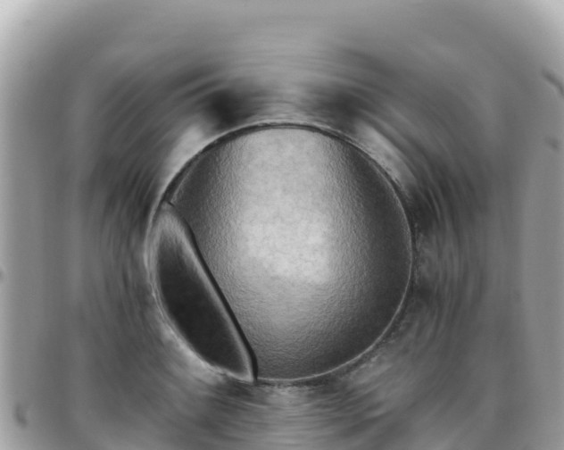 X0000096221084200801251051