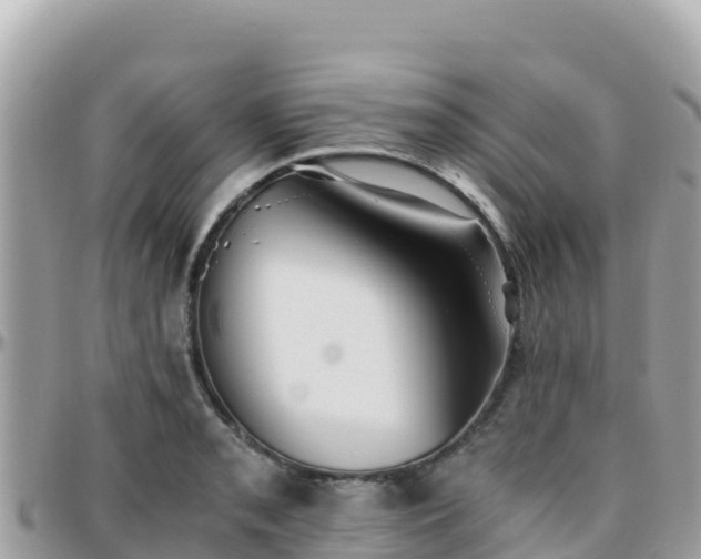 X0000096221085200801251051