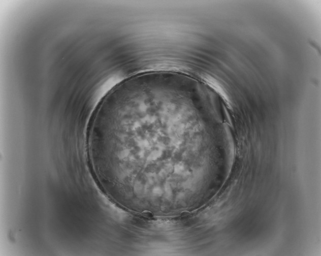 X0000096221087200801251051