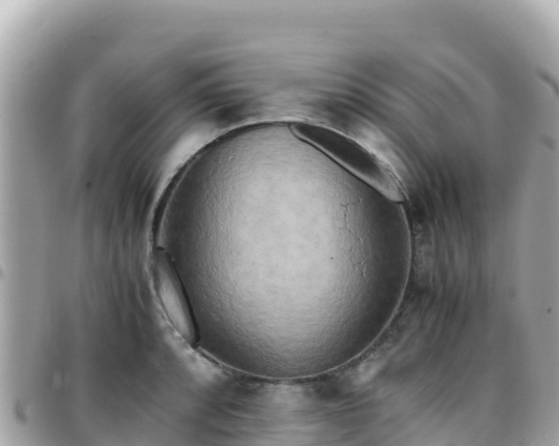 X0000096221088200801251051