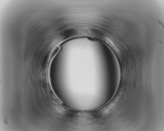 X0000096221089200801251051