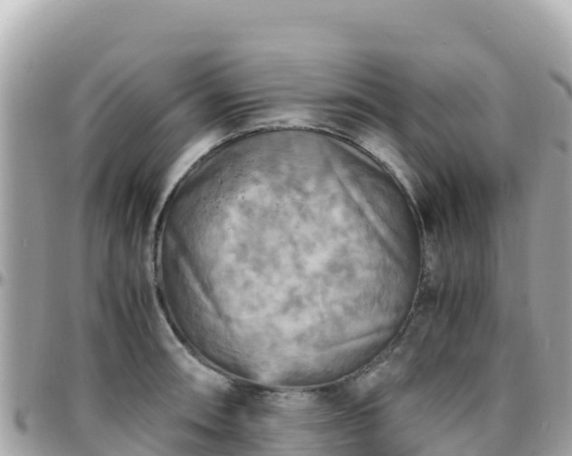 X0000096221090200801251051