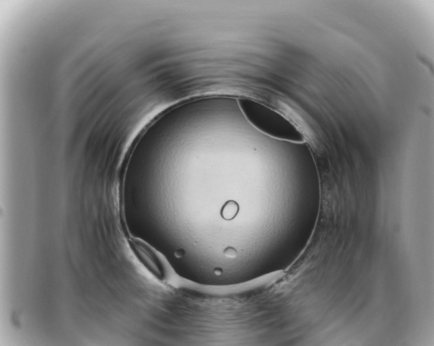 X0000096221092200801251051