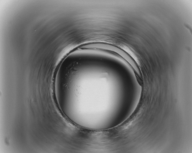 X0000096221093200801251051