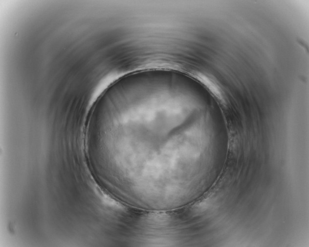 X0000096221094200801251051