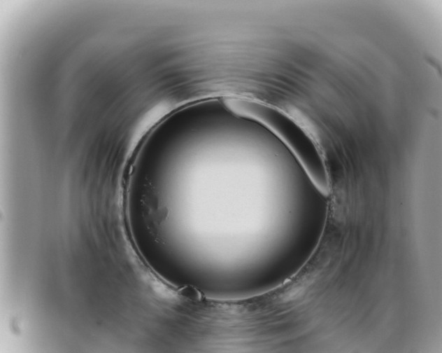 X0000096221096200801251051