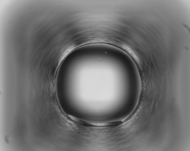 X0000096221097200801251051