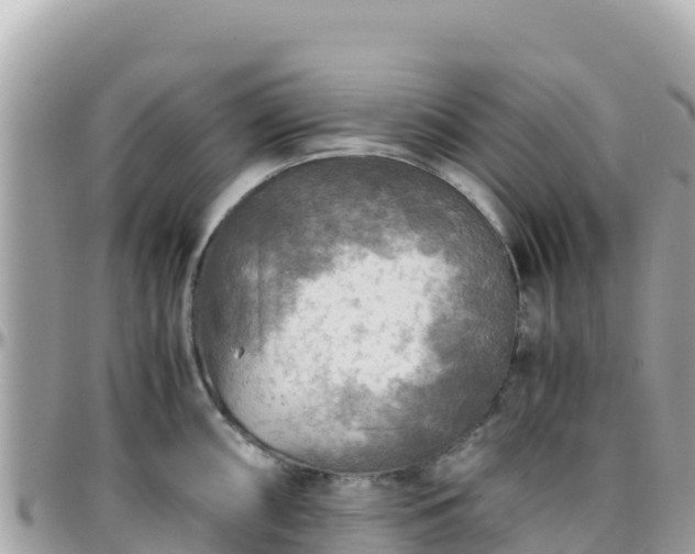 X0000096221098200801251051