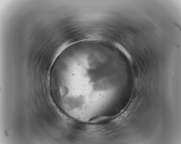 X0000096221099200801251051