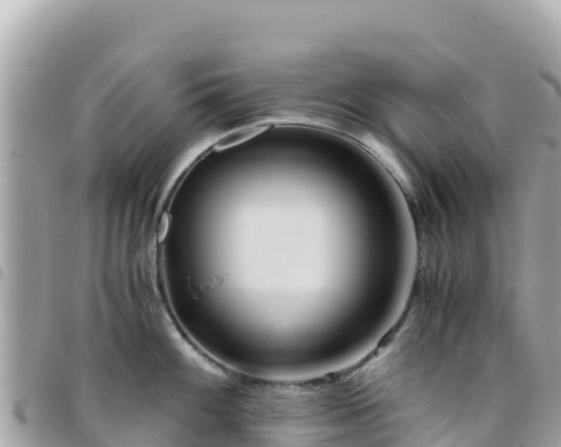 X0000096221100200801251051