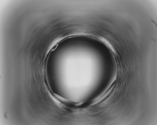 X0000096221101200801251051