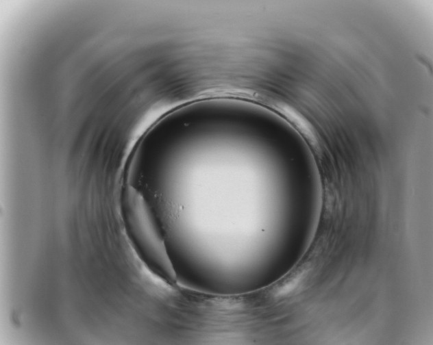 X0000096221102200801251051