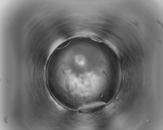 X0000096221103200801251051