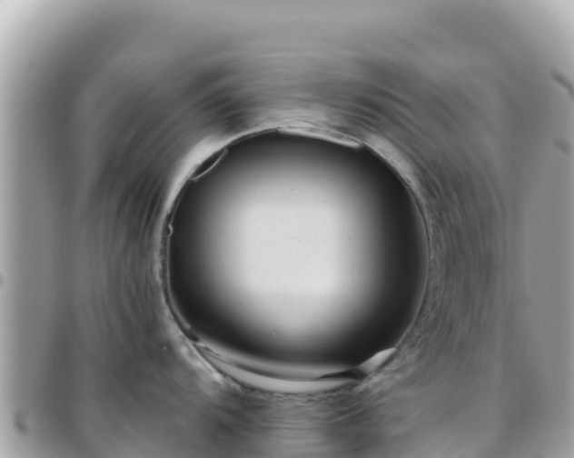 X0000096221104200801251051