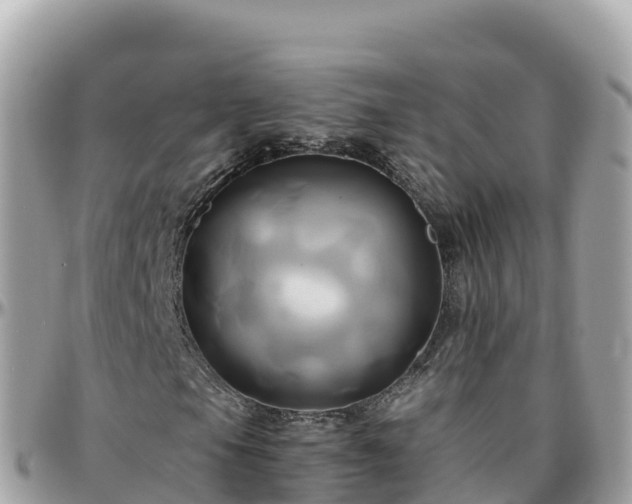 X0000096221105200801251050