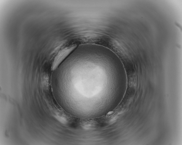 X0000096221108200801251050