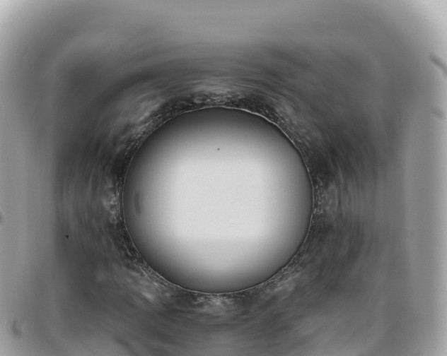 X0000096221109200801251050