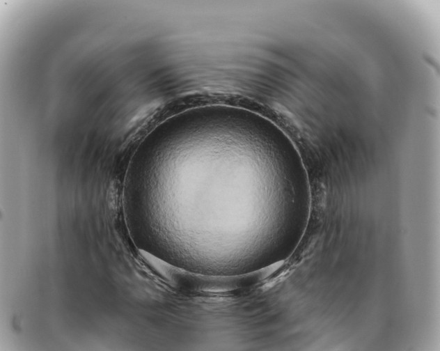 X0000096221110200801251050