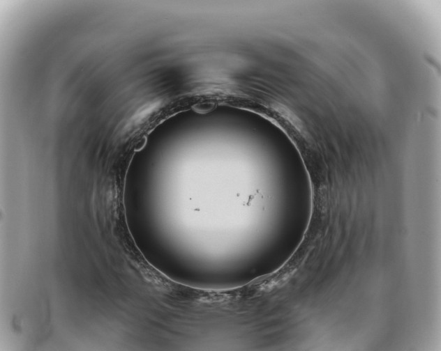 X0000096221111200801251050