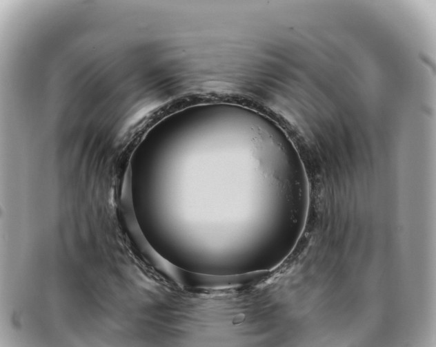 X0000096221112200801251050