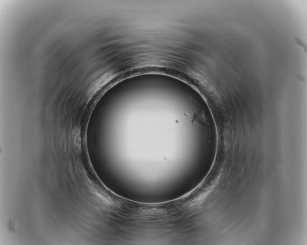 X0000096221113200801251050