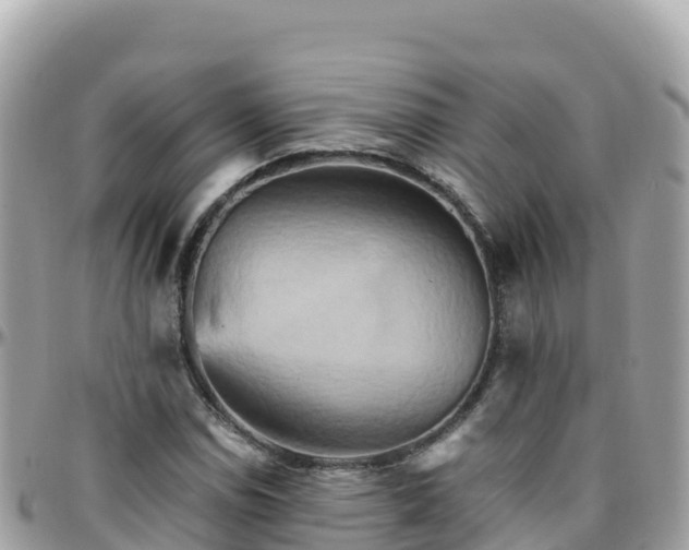 X0000096221114200801251050