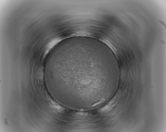 X0000096221115200801251050