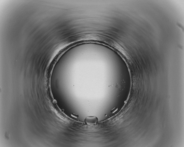 X0000096221116200801251050