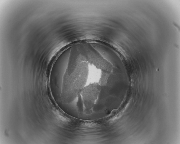 X0000096221117200801251050