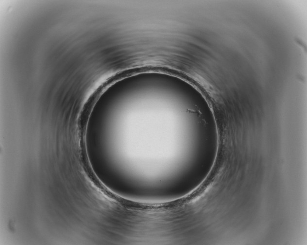 X0000096221118200801251050