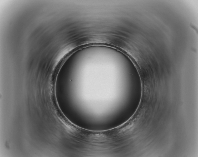 X0000096221119200801251050