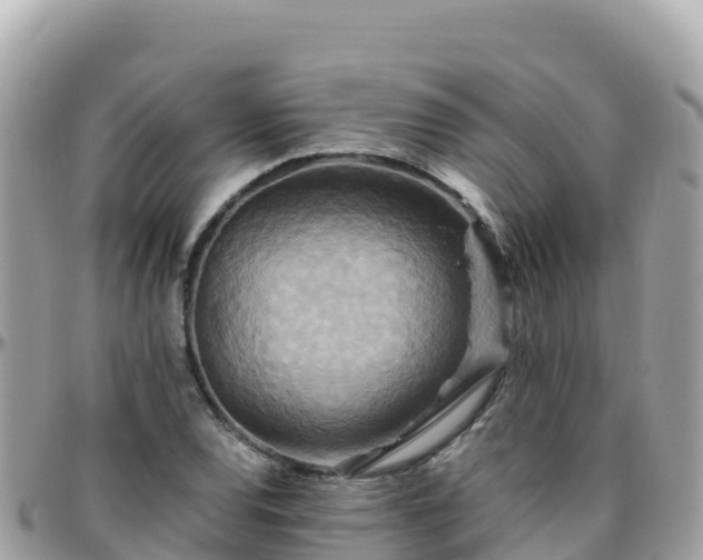 X0000096221120200801251050