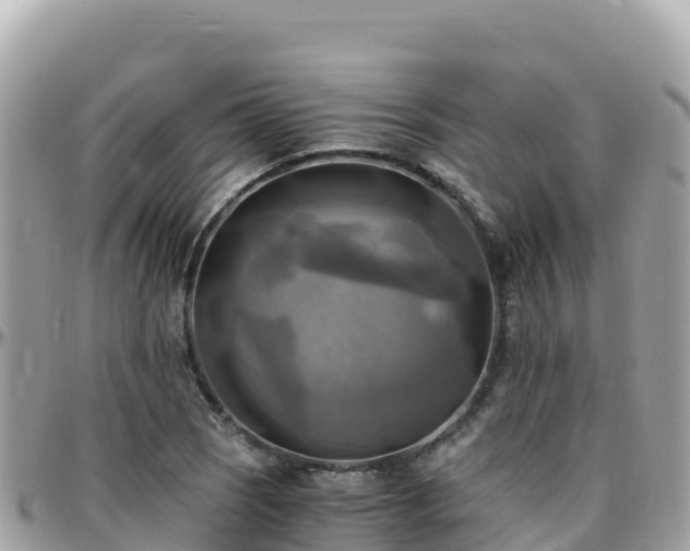 X0000096221121200801251050