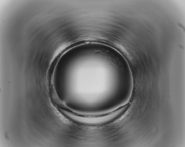 X0000096221122200801251050