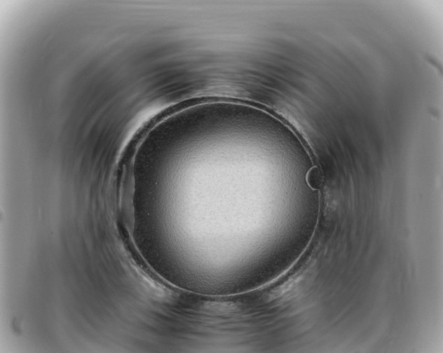 X0000096221123200801251050