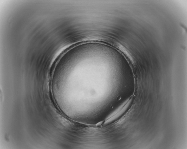 X0000096221124200801251050