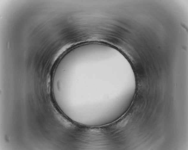 X0000096221126200801251050