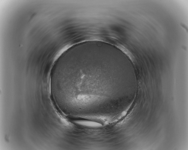 X0000096221127200801251050