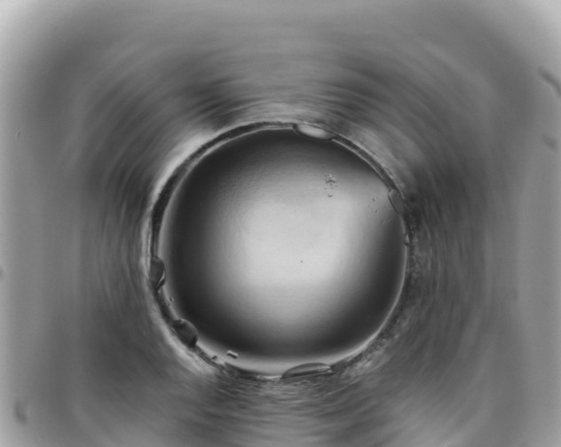 X0000096221128200801251050