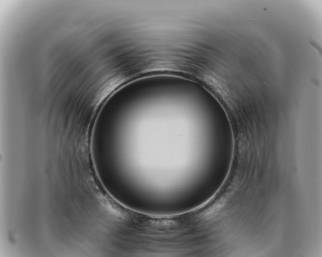 X0000096221129200801251050