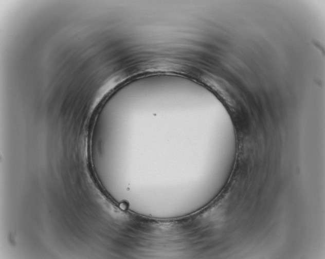 X0000096221130200801251050